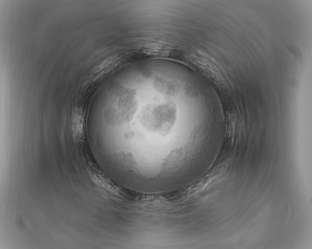 X0000110931154200906181423