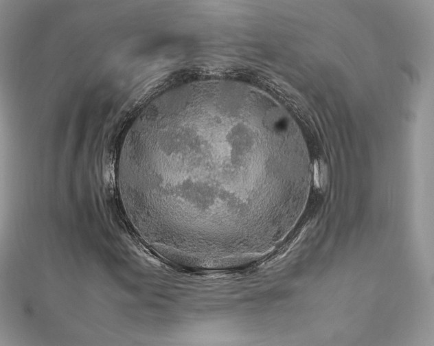 X0000110931155200906181423