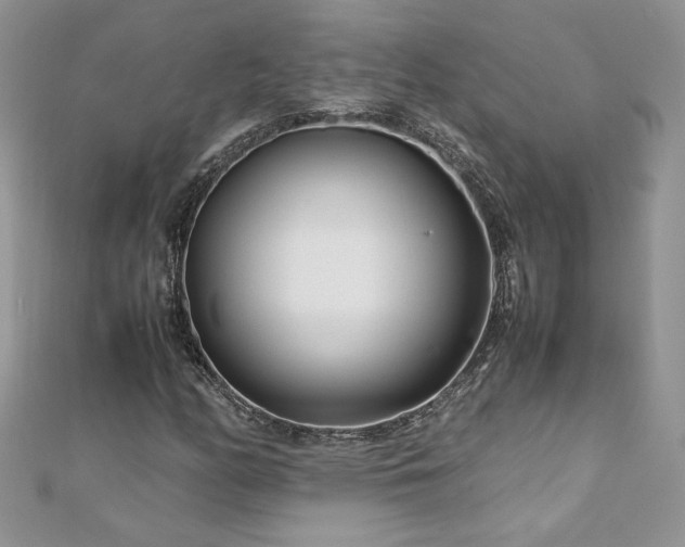 X0000110931158200906181423
