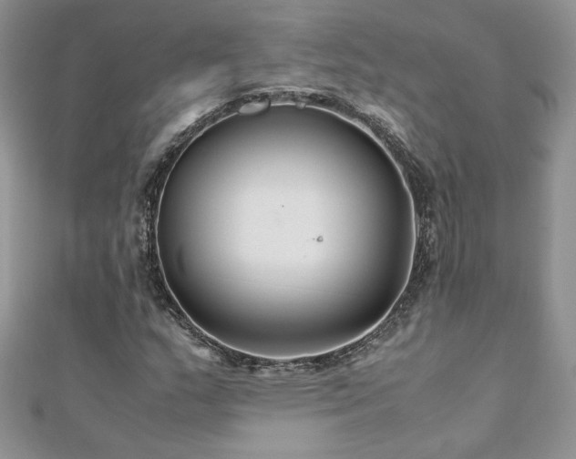 X0000110931159200906181423