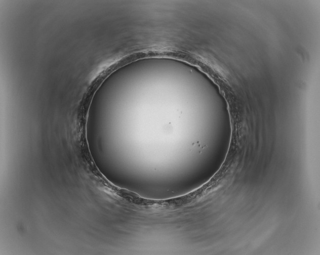 X0000110931160200906181423