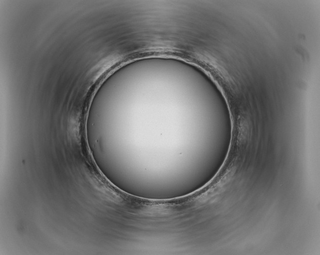 X0000110931162200906181423