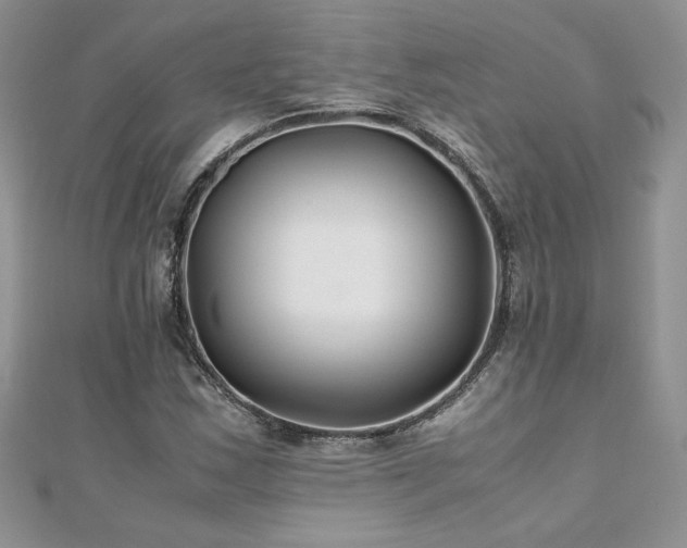 X0000110931163200906181423