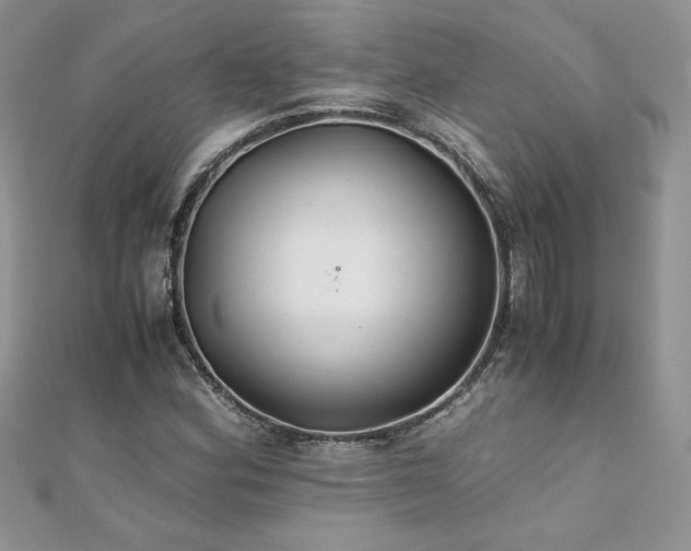 X0000110931164200906181423