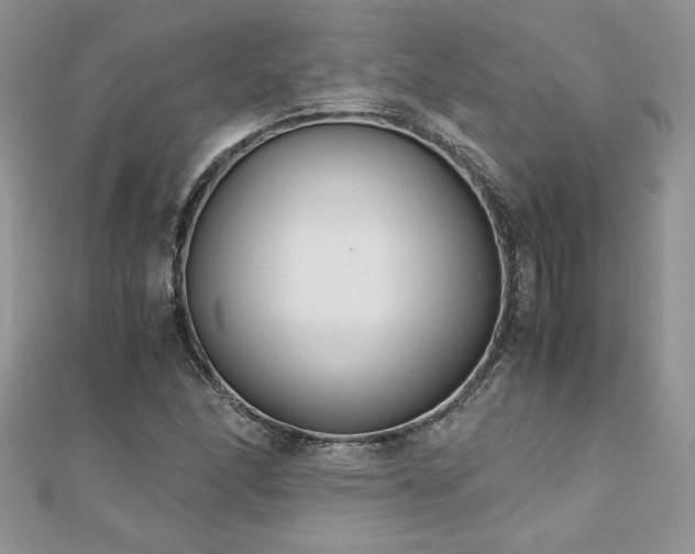 X0000110931166200906181423