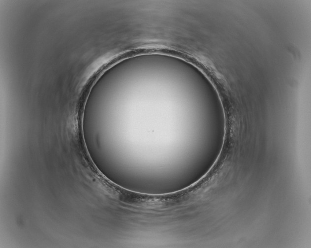 X0000110931167200906181423