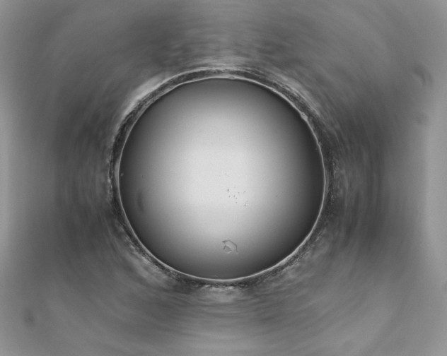 X0000110931168200906181423