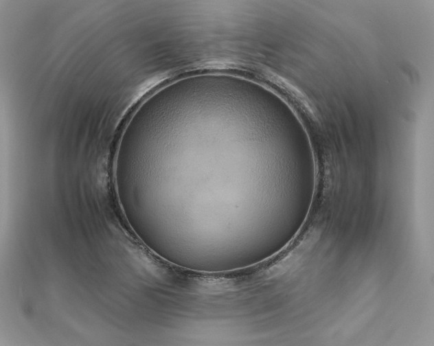 X0000110931170200906181423