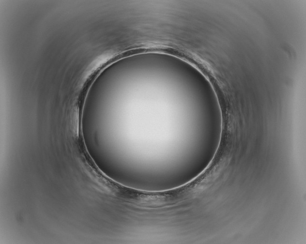 X0000110931171200906181423