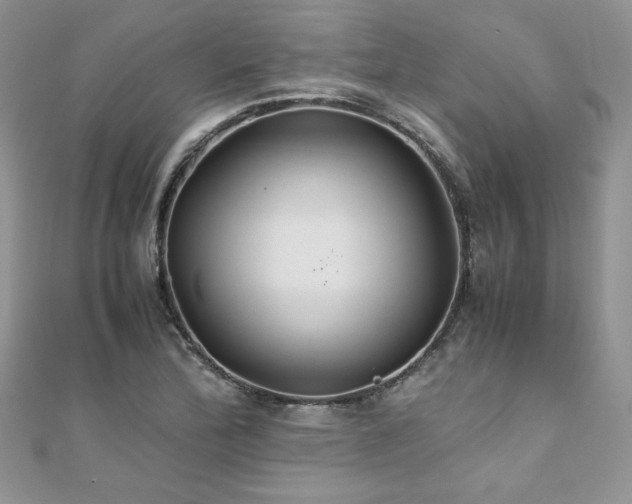 X0000110931172200906181423