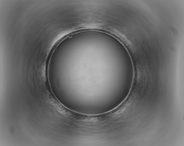 X0000110931174200906181423