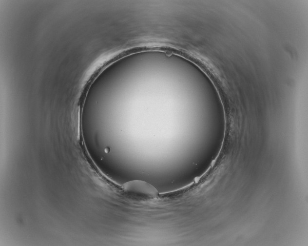 X0000110931175200906181423