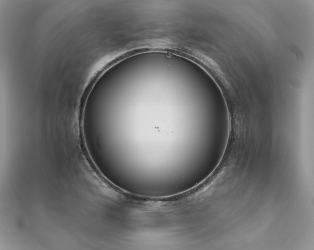 X0000110931176200906181423