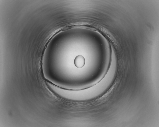 X0000110931177200906181423