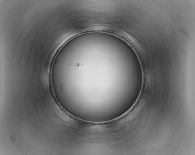 X0000110931178200906181423