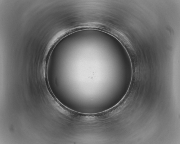 X0000110931180200906181423