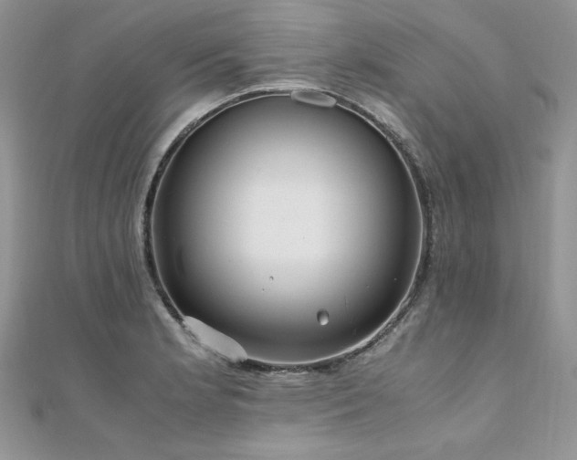 X0000110931181200906181423