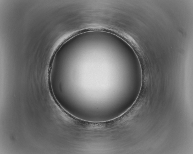 X0000110931183200906181423