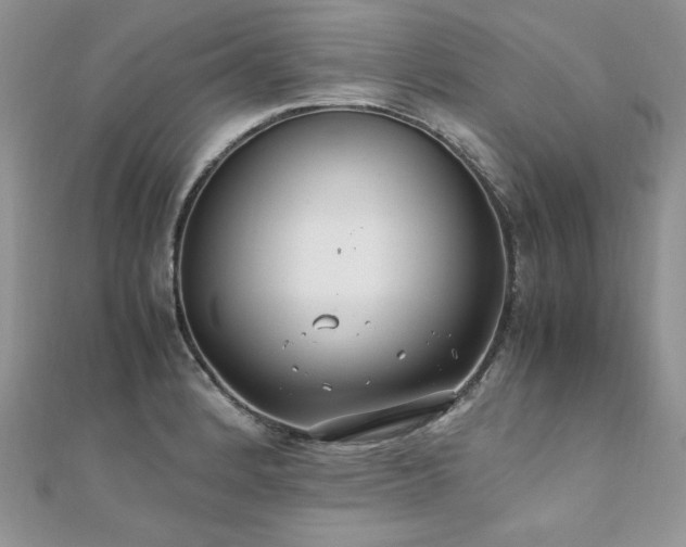 X0000110931184200906181423