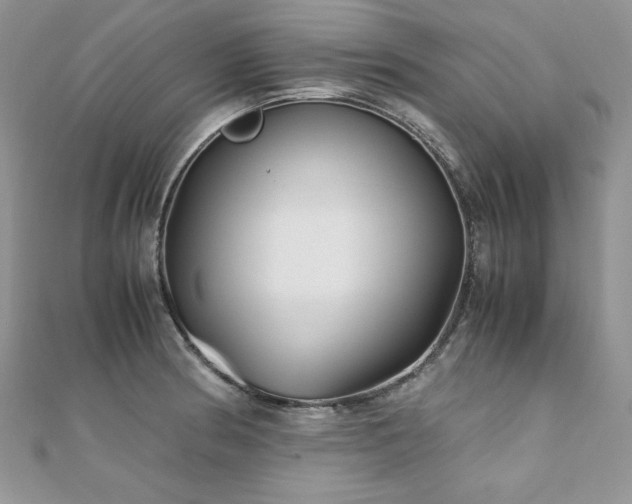 X0000110931186200906181423