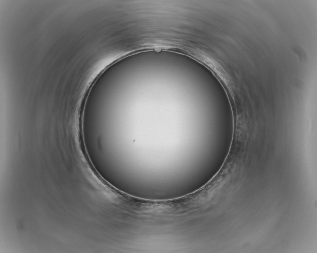 X0000110931187200906181423