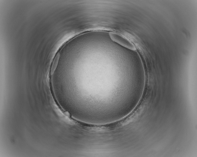 X0000110931189200906181423