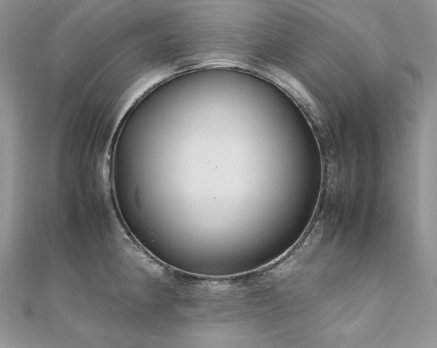 X0000110931190200906181423