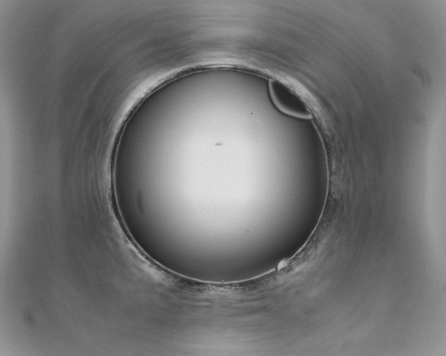 X0000110931191200906181423