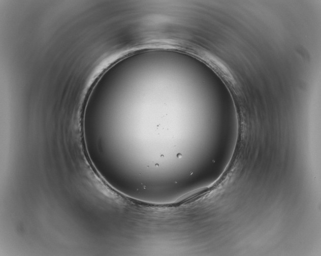 X0000110931192200906181423