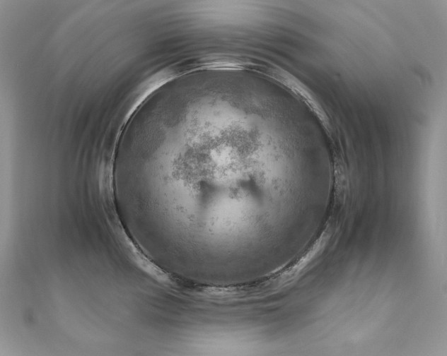 X0000110931194200906181423