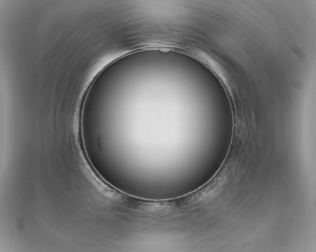 X0000110931195200906181423