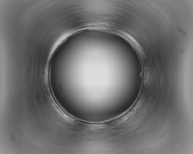X0000110931196200906181423