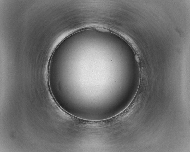 X0000110931199200906181423