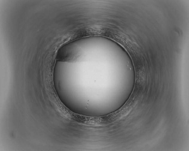 X0000110931201200906181422