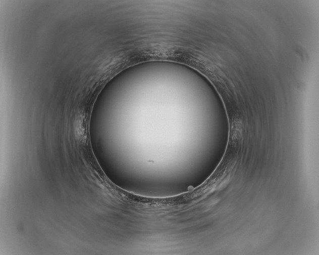 X0000110931202200906181422