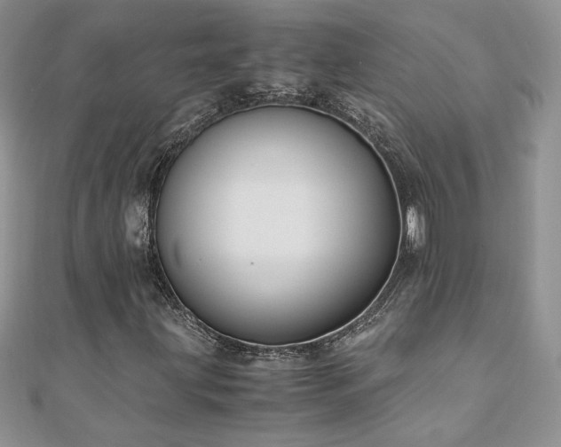 X0000110931203200906181422