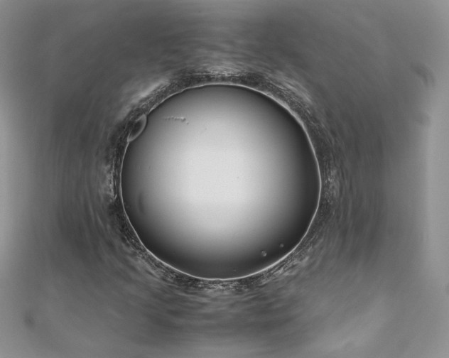 X0000110931205200906181422