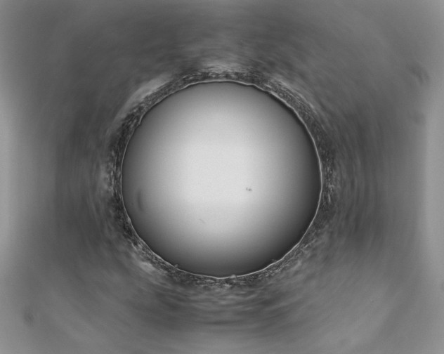 X0000110931207200906181422