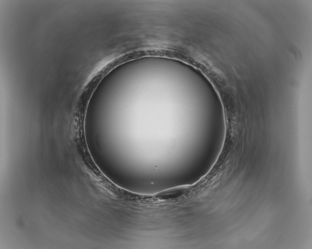 X0000110931208200906181422