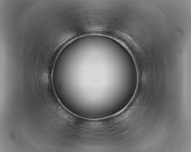 X0000110931209200906181422