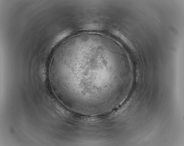 X0000110931213200906181422