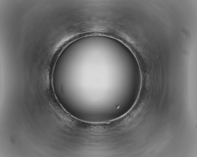 X0000110931214200906181422