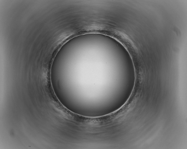 X0000110931217200906181422