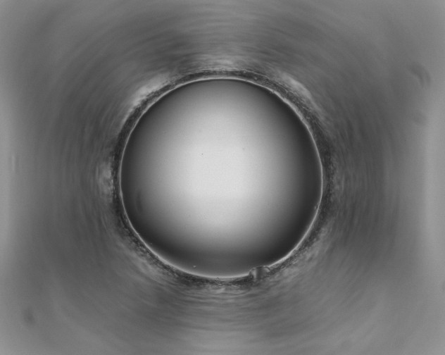 X0000110931218200906181422