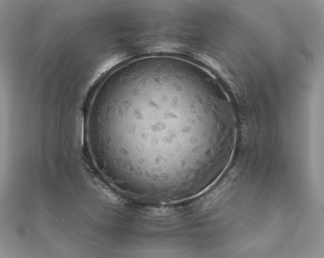X0000110931219200906181422