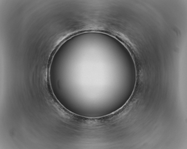 X0000110931220200906181422