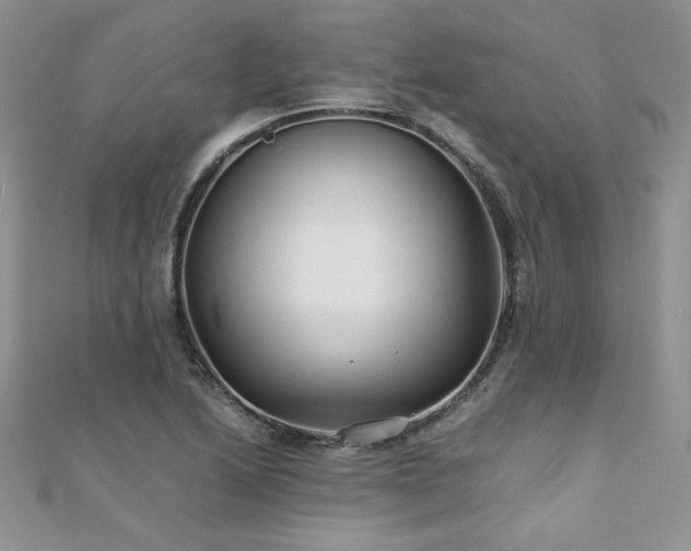 X0000110931222200906181422