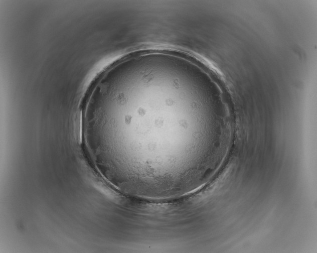 X0000110931223200906181422