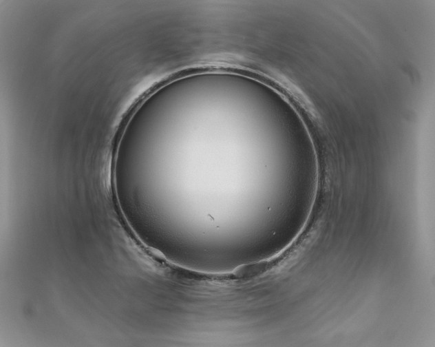 X0000110931224200906181422