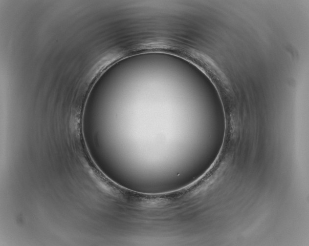 X0000110931225200906181422